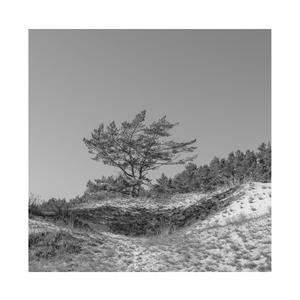 足疗勾搭!天然巨乳离异少妇穿上黑丝无套内射
